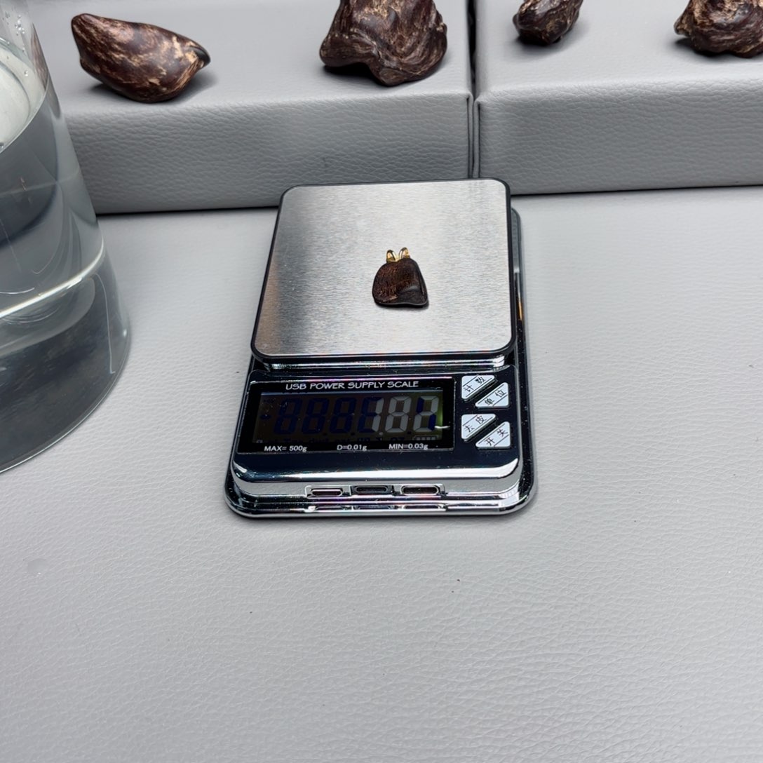 文莱文莱文莱文莱