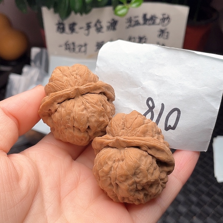 42尺寸白茬无修蛤蟆