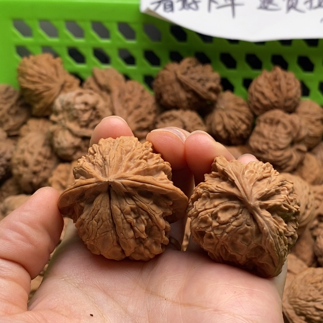話***叽核桃定制商品不退不换