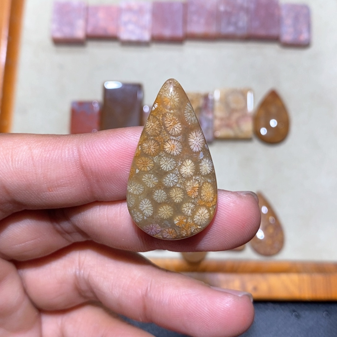 【闪购商品】硅化玉颈饰未镶嵌