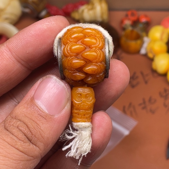 驼骨其他人工养殖