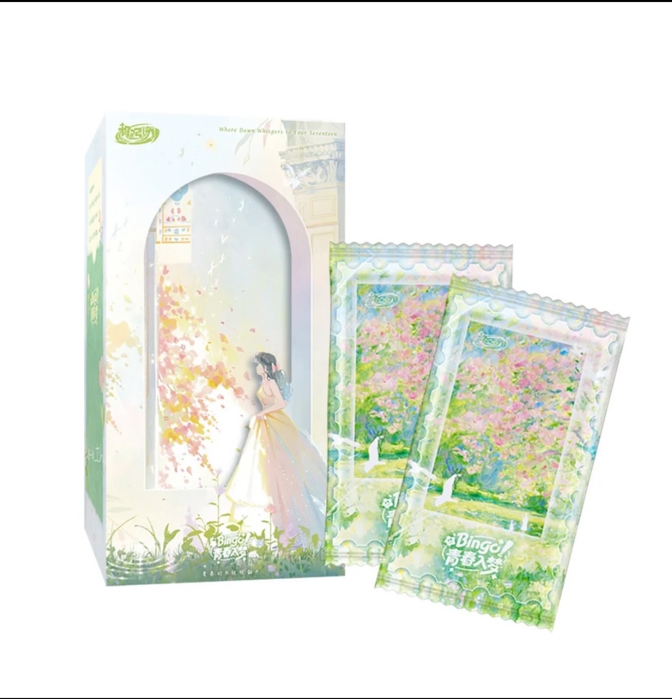 【拆盒】趣引力《Bingo！青春入梦》正版授权艺术家系列收藏卡牌 代拆