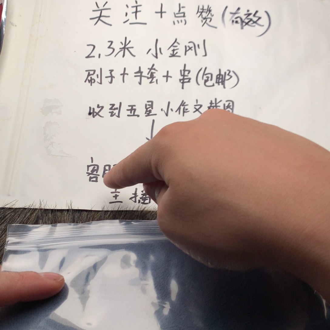 *****金刚菩提吊坠老树王