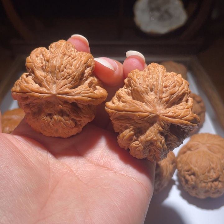 核桃手串/手链波****）44粗筋