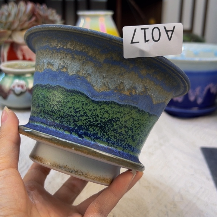 景德镇陶瓷研究所无**生