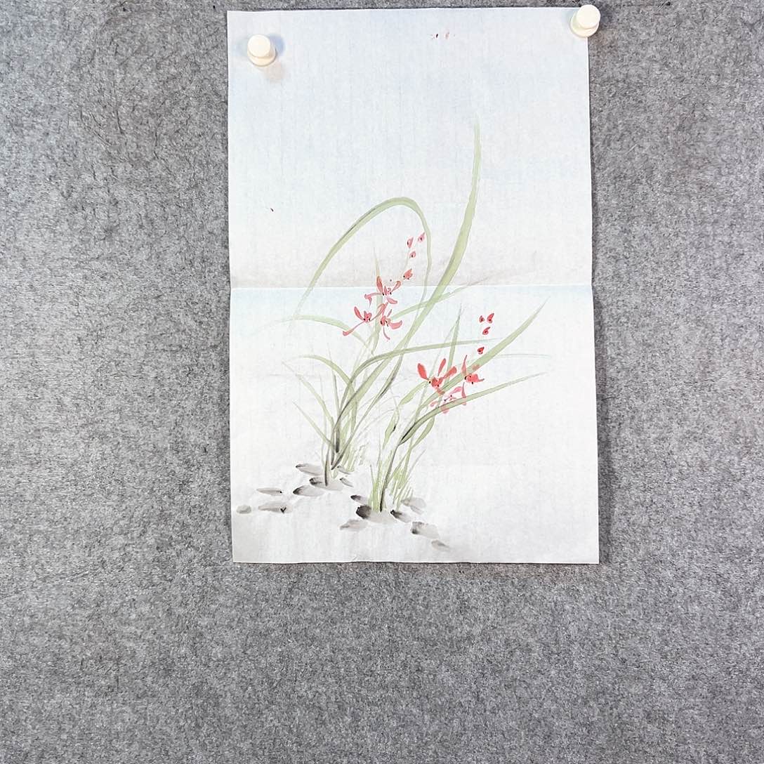 国画177 花鸟等各种花卉品种