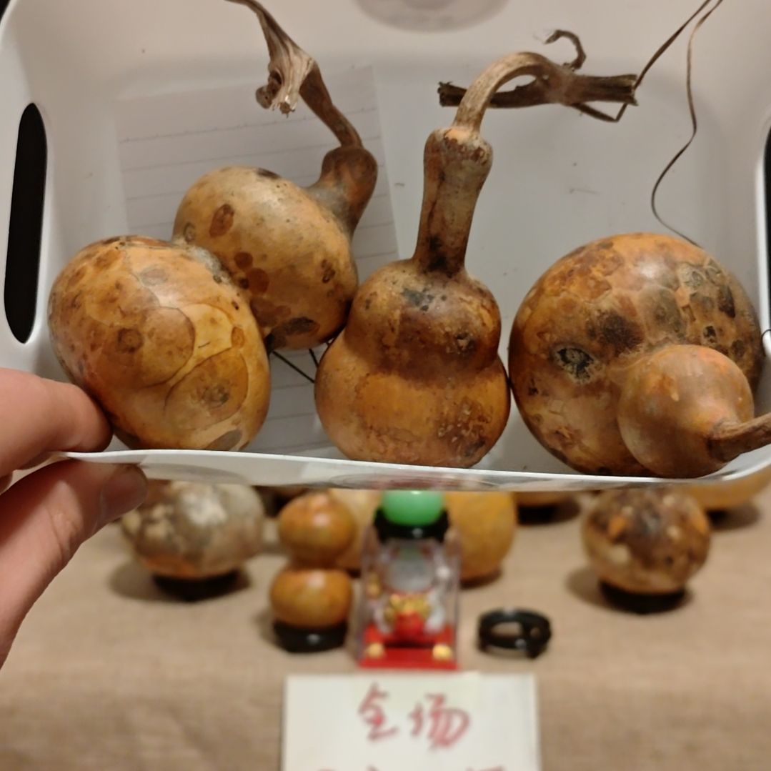 绿***量直播间专拍葫芦葫芦