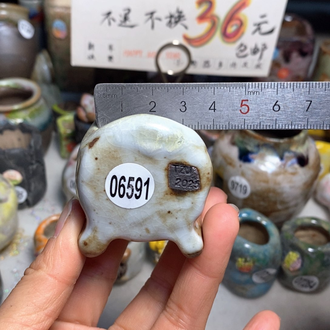 花盆拍3送一个小礼物