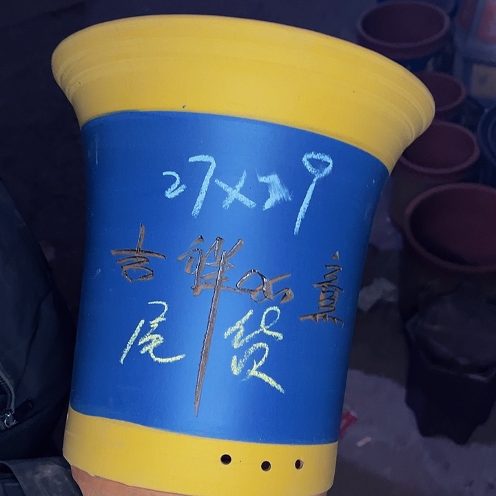 红陶紫砂艺术学院