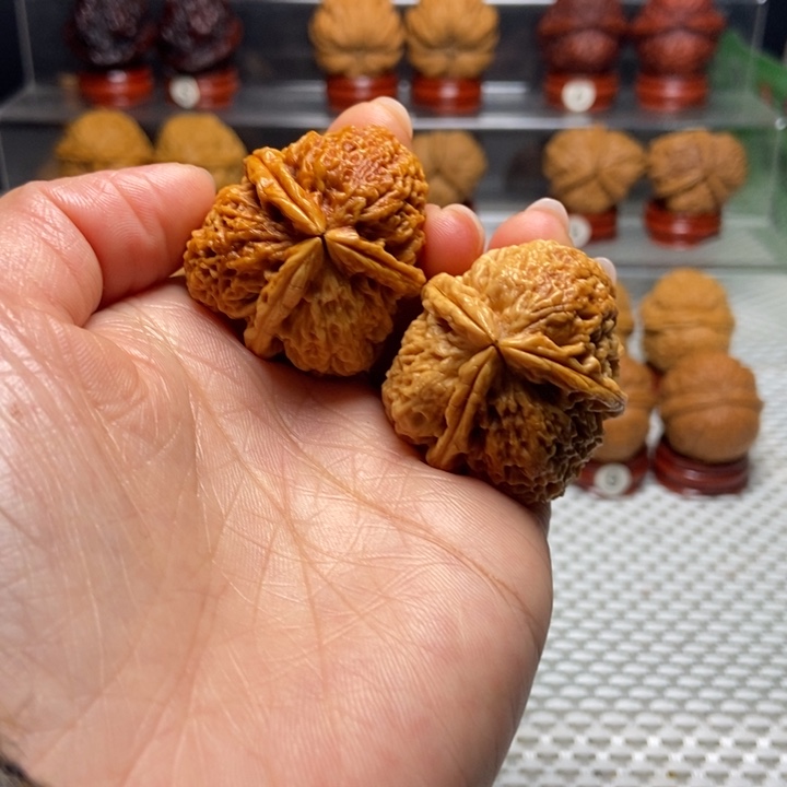 文玩核桃把件21七彩梅花奔