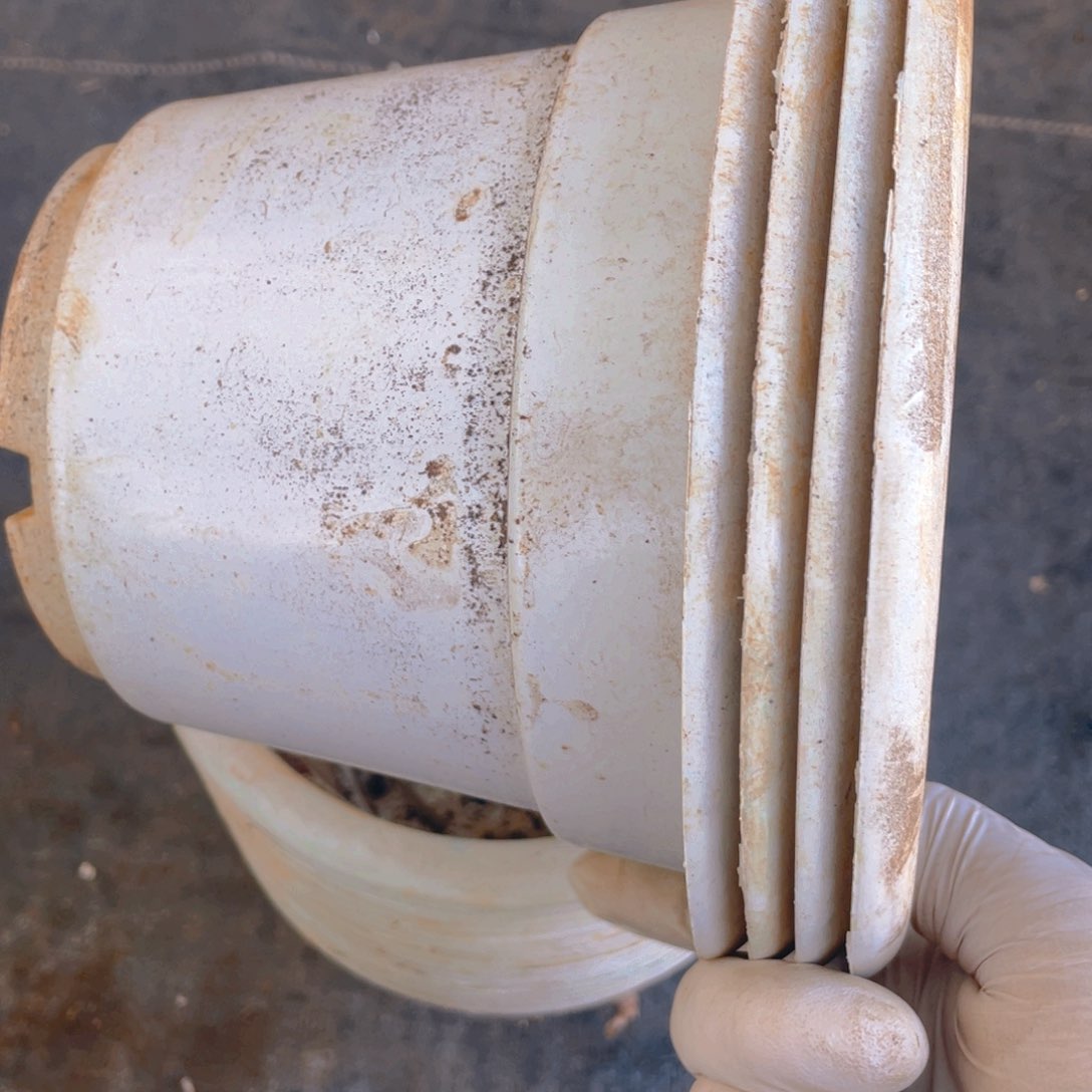 塑料旧180白园盆加厚19个