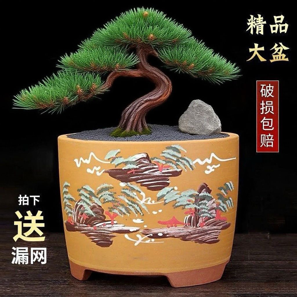 紫砂花盆君子兰花陶瓷特大号室内高档盆景盆厂家直销清仓包邮