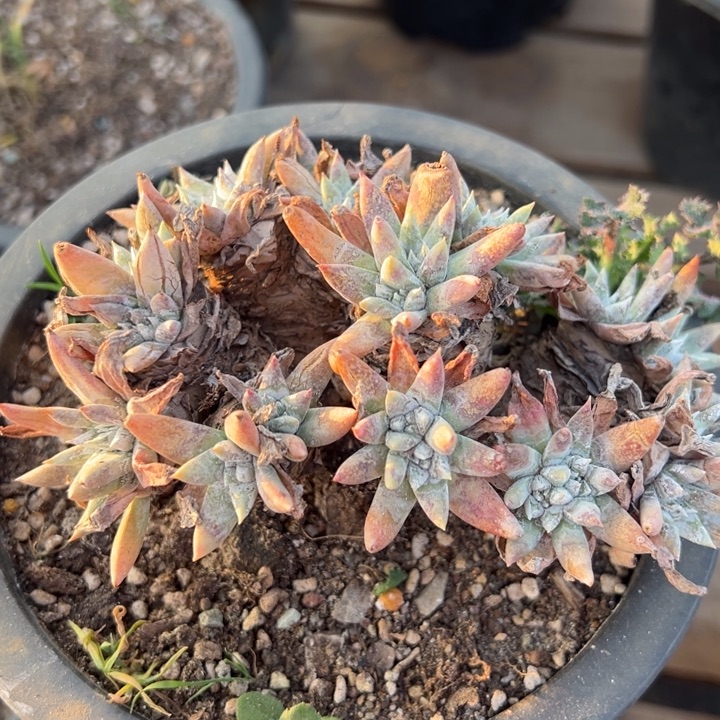 793哈哈哈哈哈哈哈