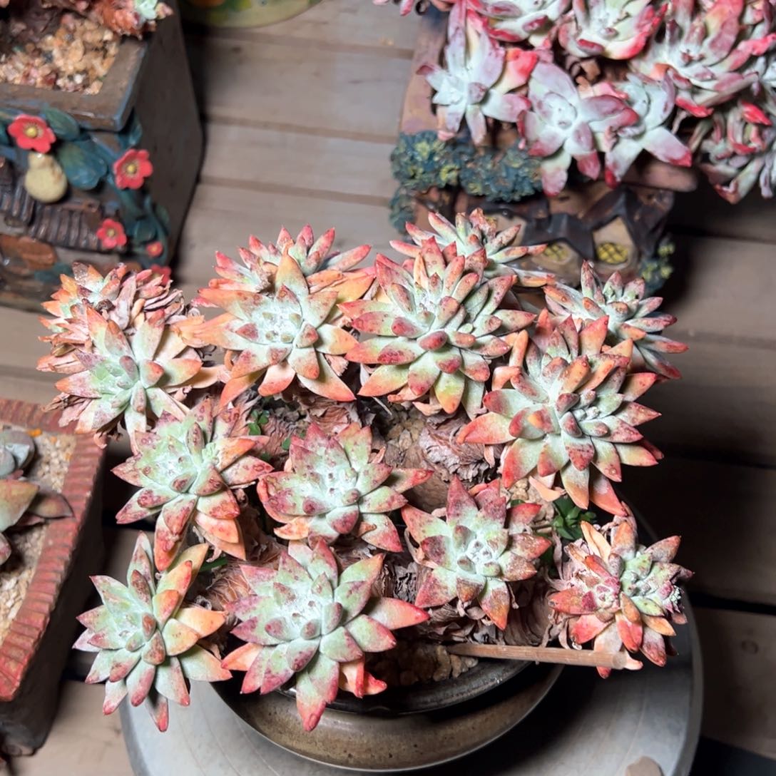 7238哈哈哈哈哈哈哈哈