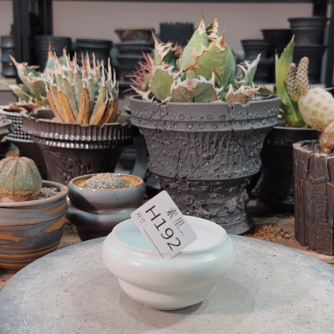 景德镇素里手工内口8.5高5瑕疵