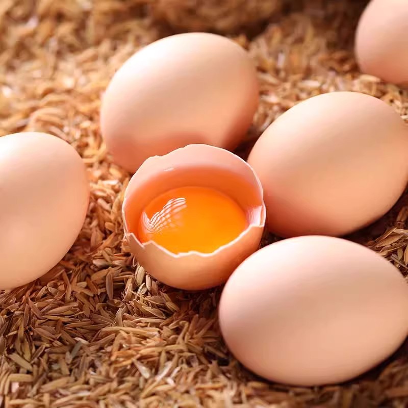 【谷物鸡蛋】正宗谷物饲养农家土鸡蛋50枚散养柴鸡蛋草饲优质鸡蛋