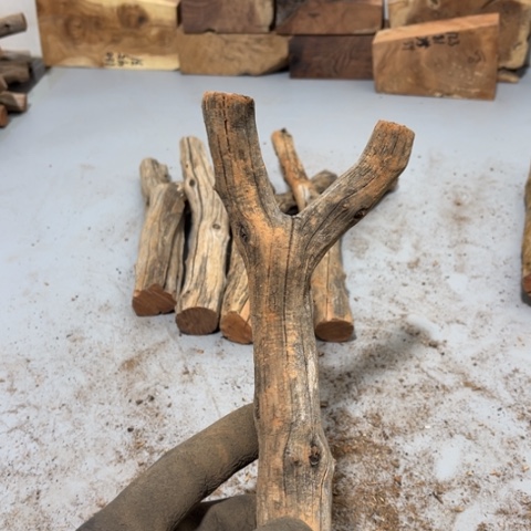 大果紫檀（缅甸花梨）核****益