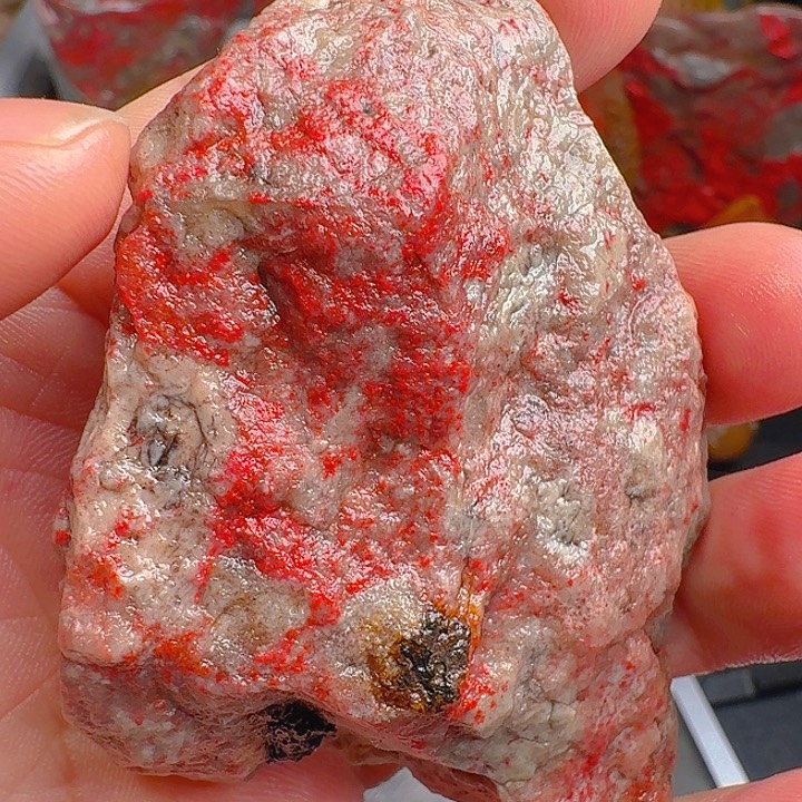 君***哥昌化石印石昌化鸡血石