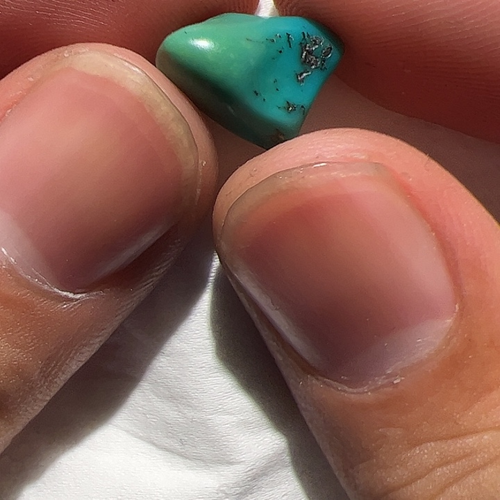 香榧木你的时候你