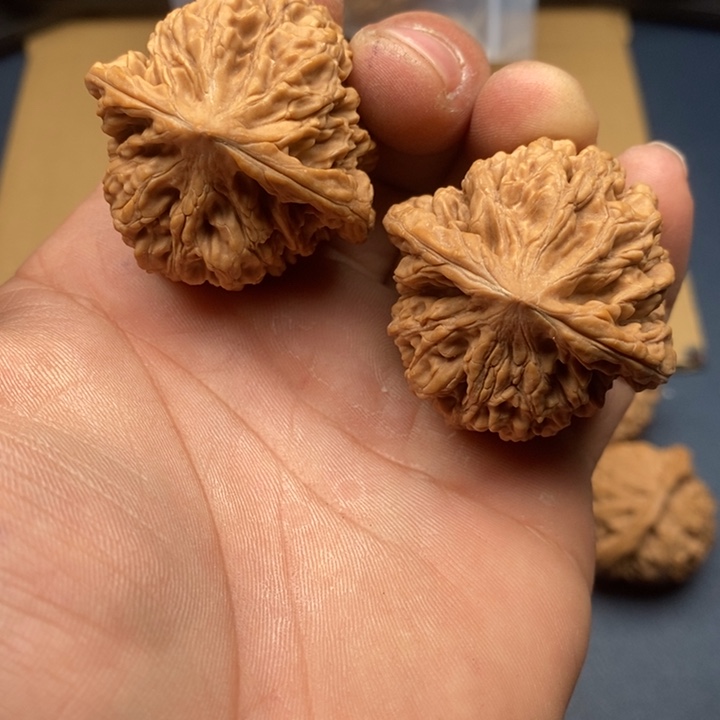 忕***佪文玩核桃吊坠文玩核桃古龙古龙，