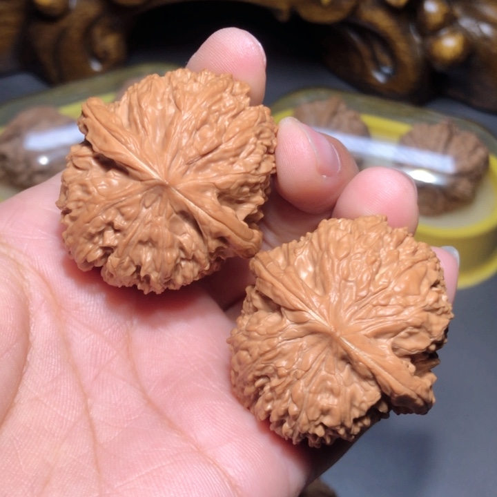 文玩核桃把件李*39.5尺137狮子头