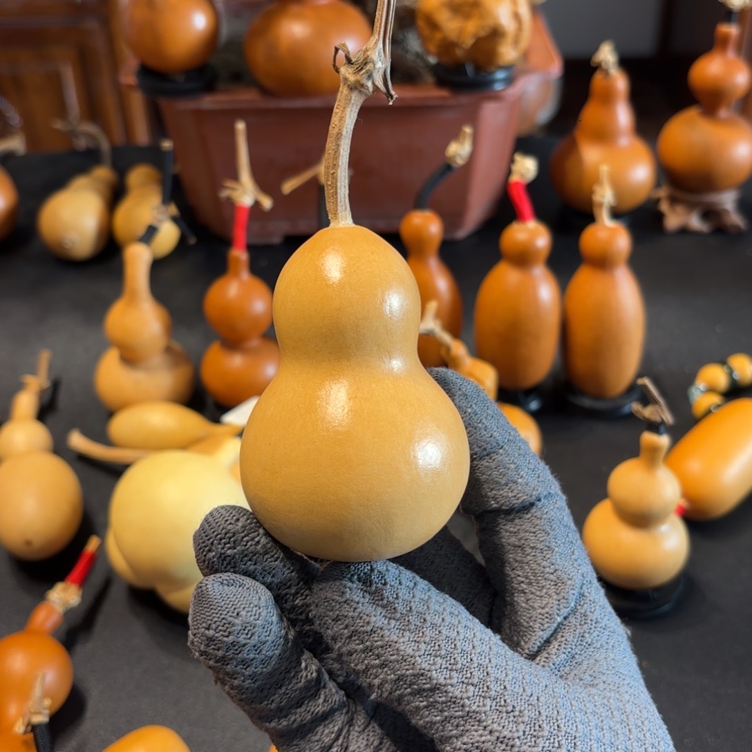 于***茶葫芦88888888888888888