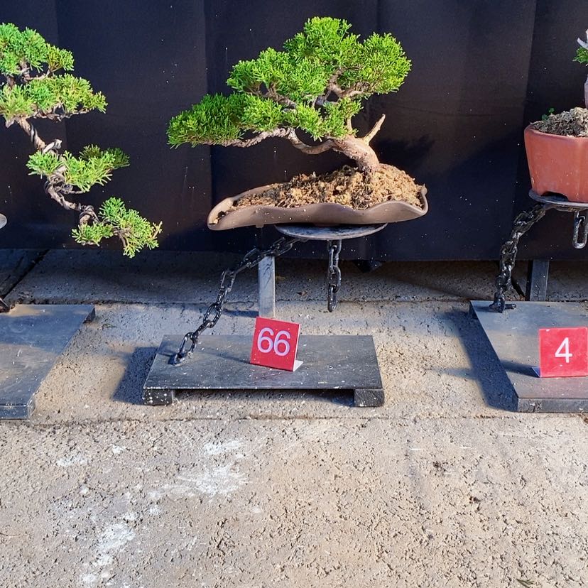 【闪购商品】完全开放m****e