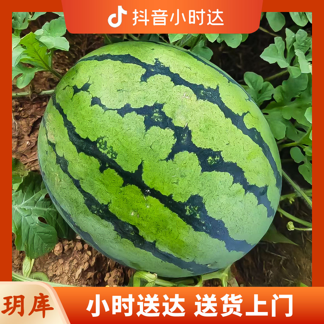 麒麟瓜【特价】500g