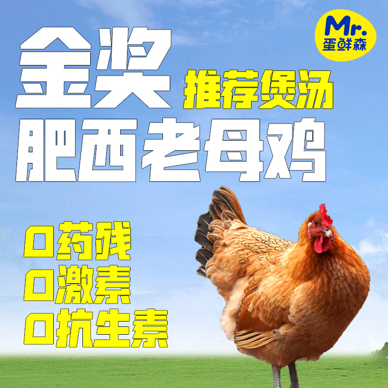 蛋鲜森 蛋鲜森(煲汤专用)肥西500天金奖老母鸡现杀速封