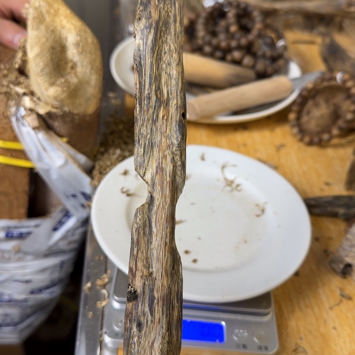 一***云沉香沉香碎屑绿棋莺歌绿树心虫漏46g