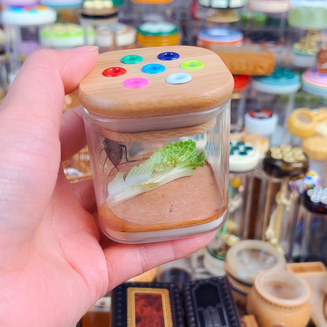 木七孔玻璃罐➕麒麟