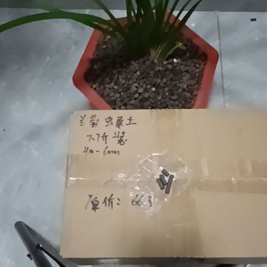 陈***子兰菌黑山土虫屎颗粒7.7斤