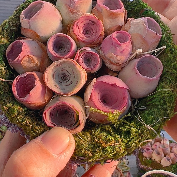 TT367。玫瑰混苔藓蓝。 福利