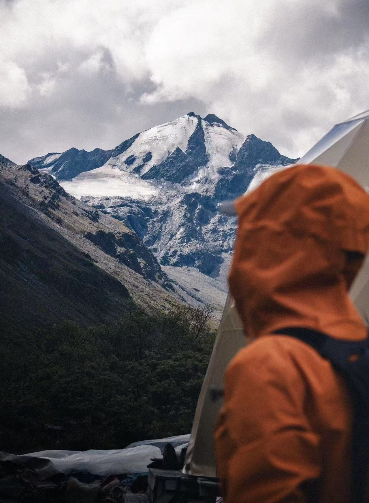 ZS【25222】早春新款短袖休闲上衣02-08A