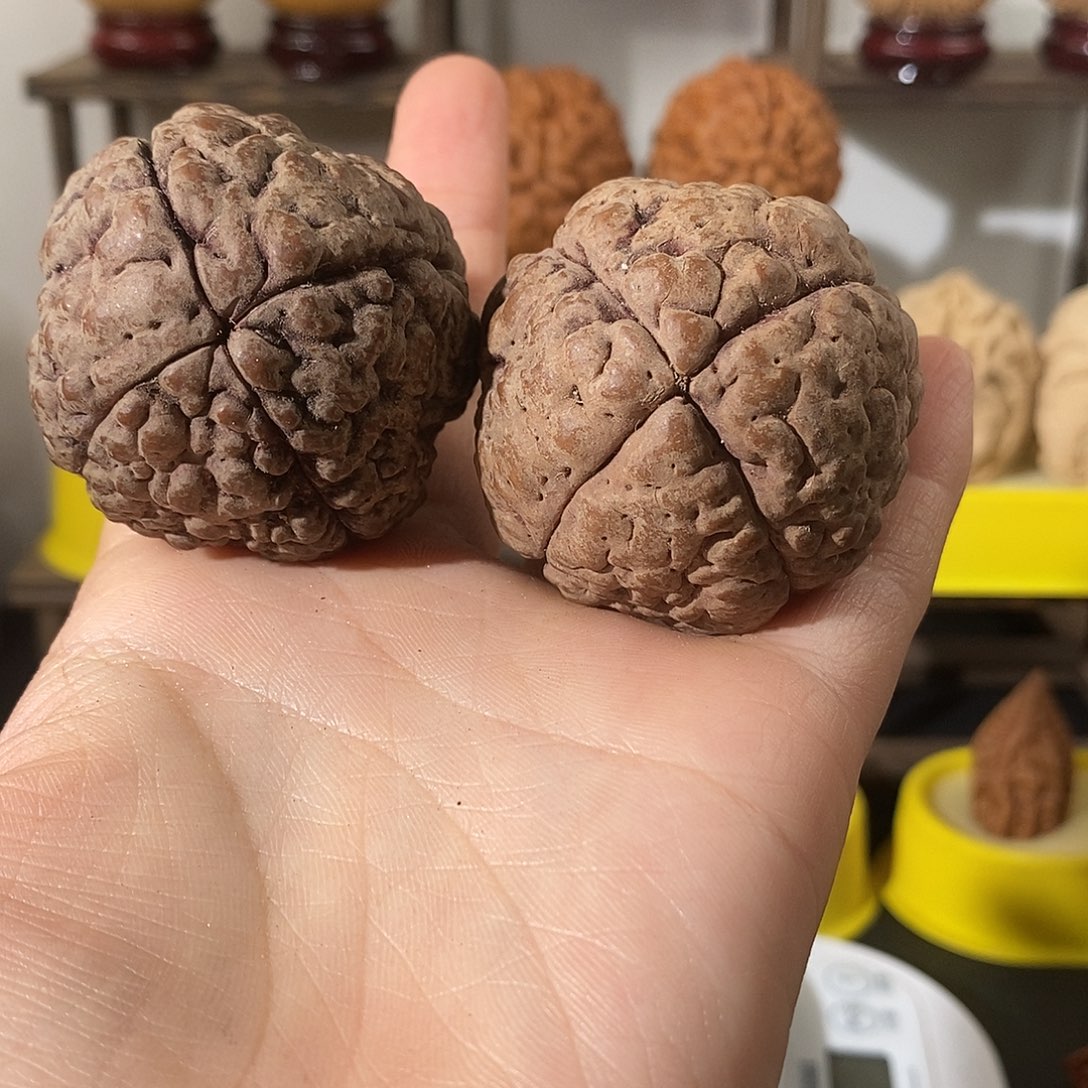 吊坠文玩核桃双****人四花金刚练手不退不换不接受中差评