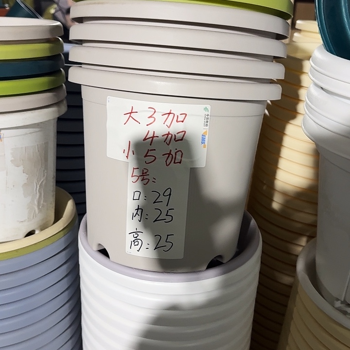 四季5#口径29灰白10个无托