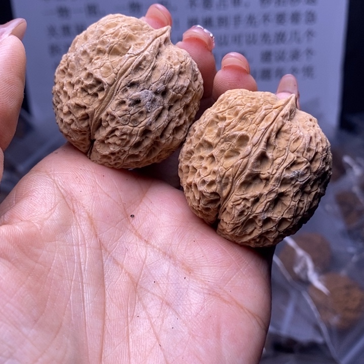 核桃云南野生铁核桃117号41mm