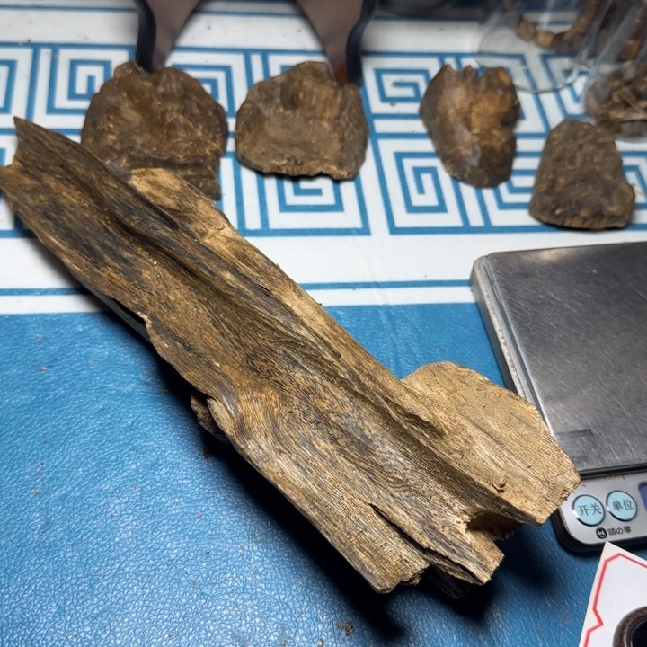 香粉绿奇陆河虫漏127克