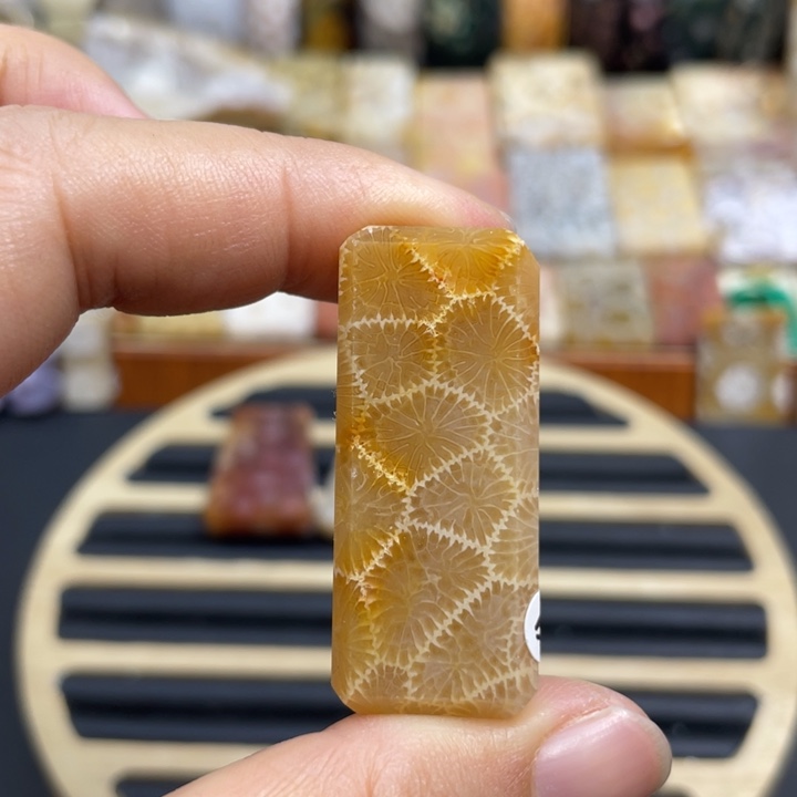 硅化玉未镶嵌颈饰k33