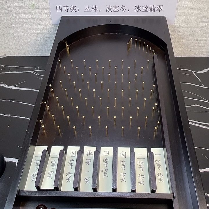 巴西彩龟不分公母34.9（拍一弹2）