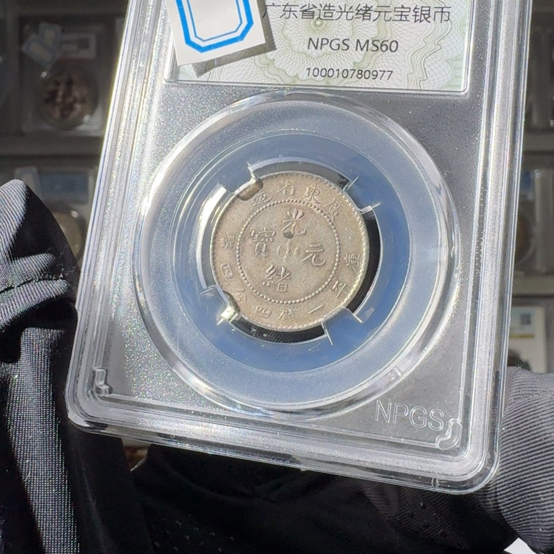 ****魔大叶紫檀（黑酸枝木类）60 广东二角龙一个 小师妹MM 115