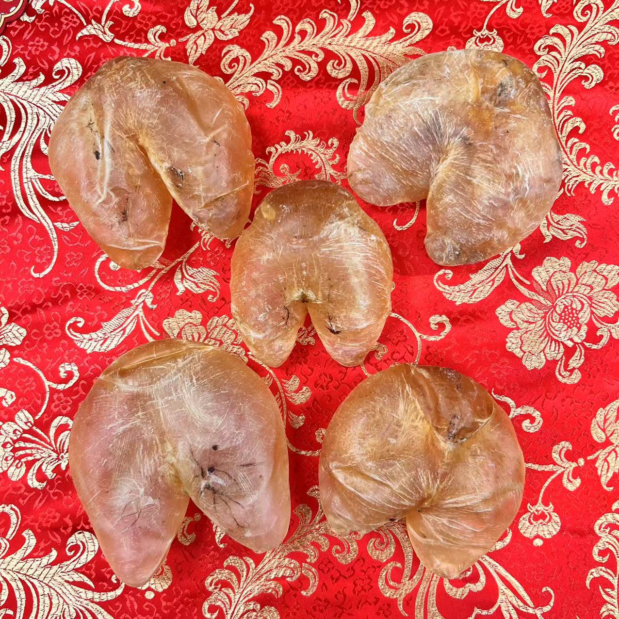 老胶汇精选鸡泡胶系列鱼胶海味干货（直播称重）