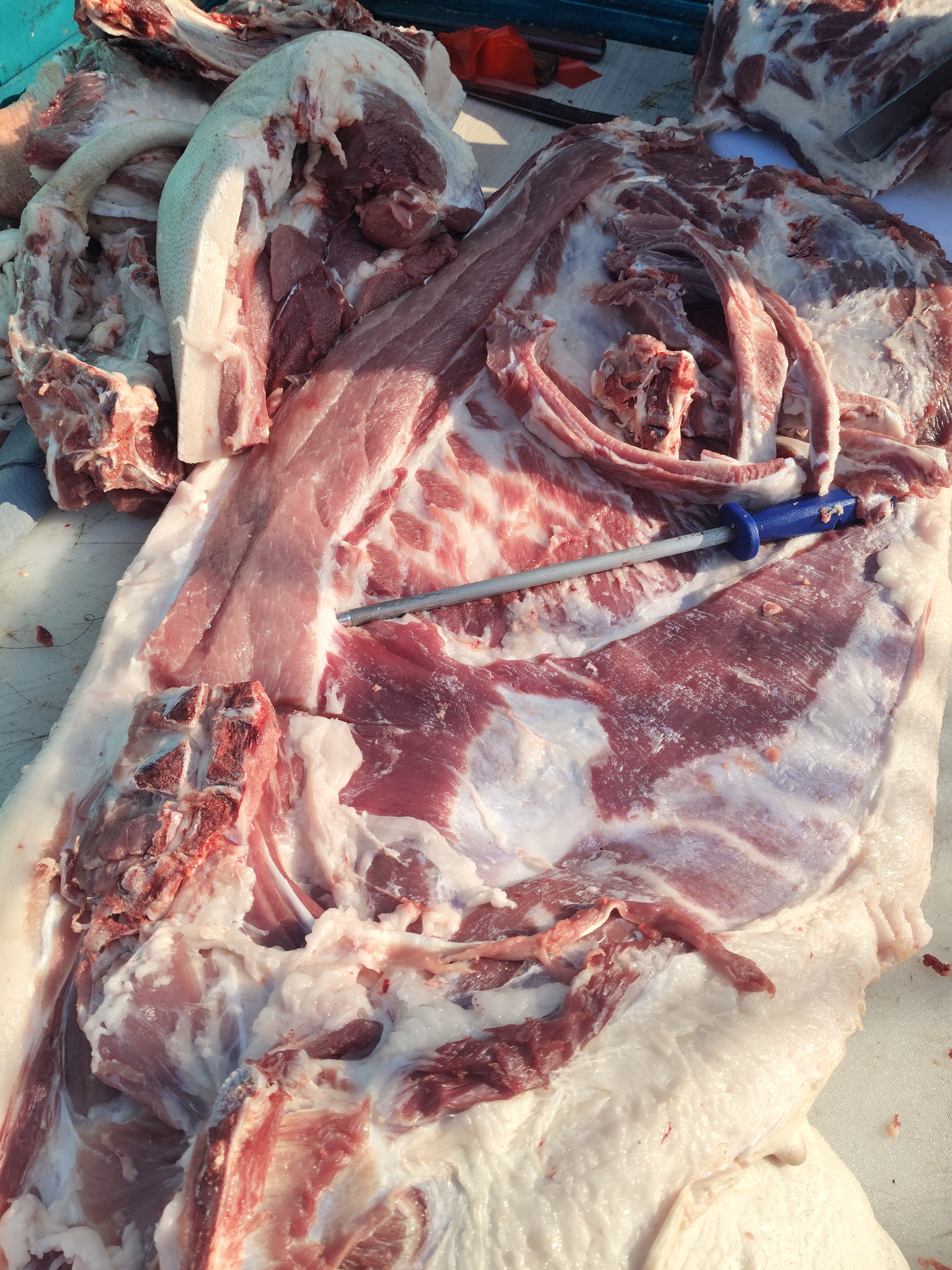 农村熟食喂养散养隔年猪肉一刀切