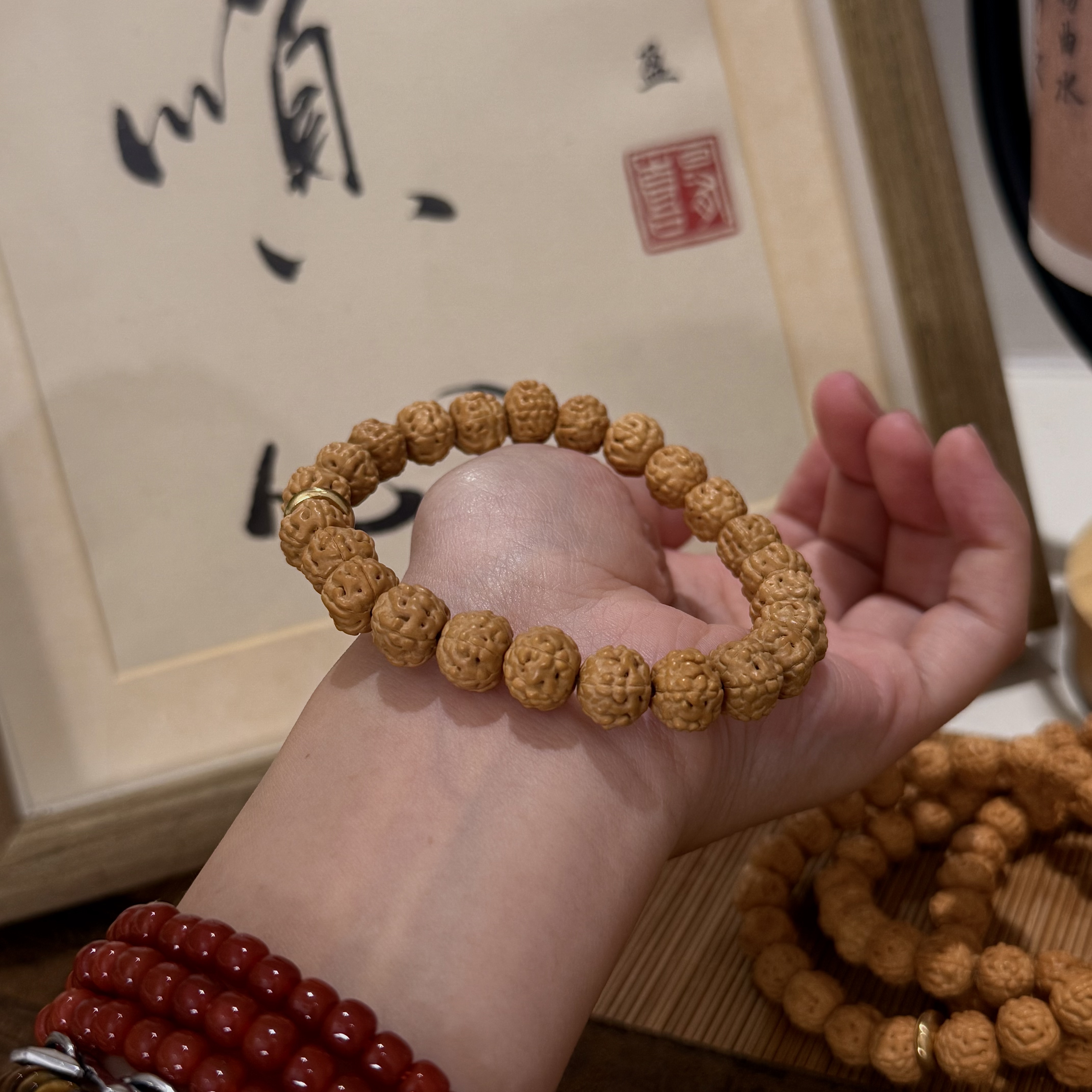 五瓣蛤蟆背手串精品