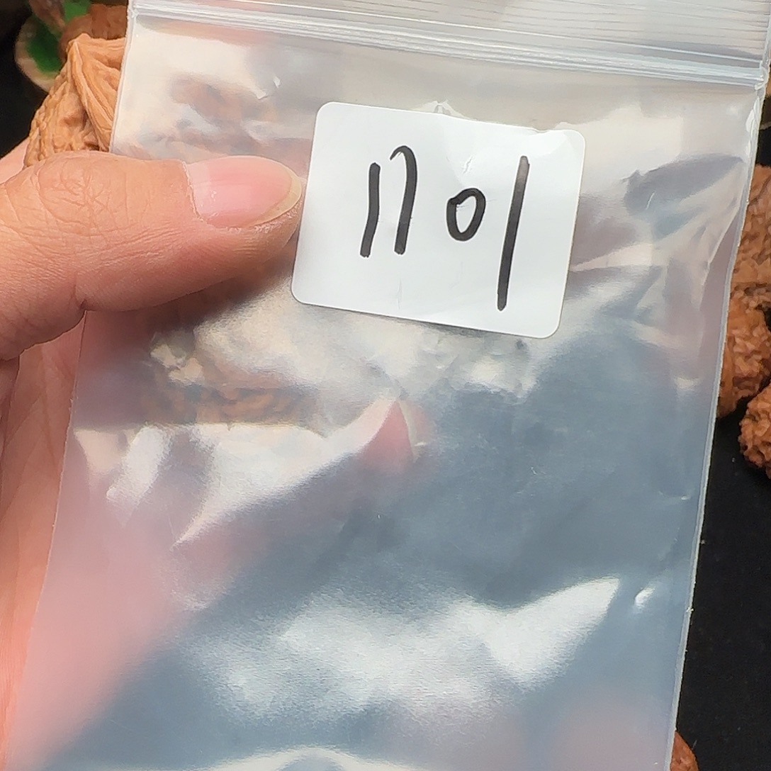 A***s把件文玩核桃1101全品44+大粗筋