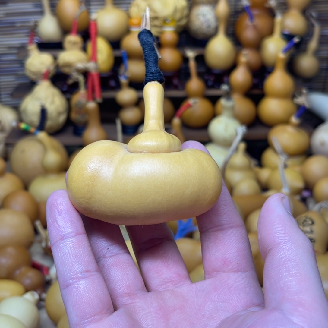 厚皮有籽元宝钱袋子5