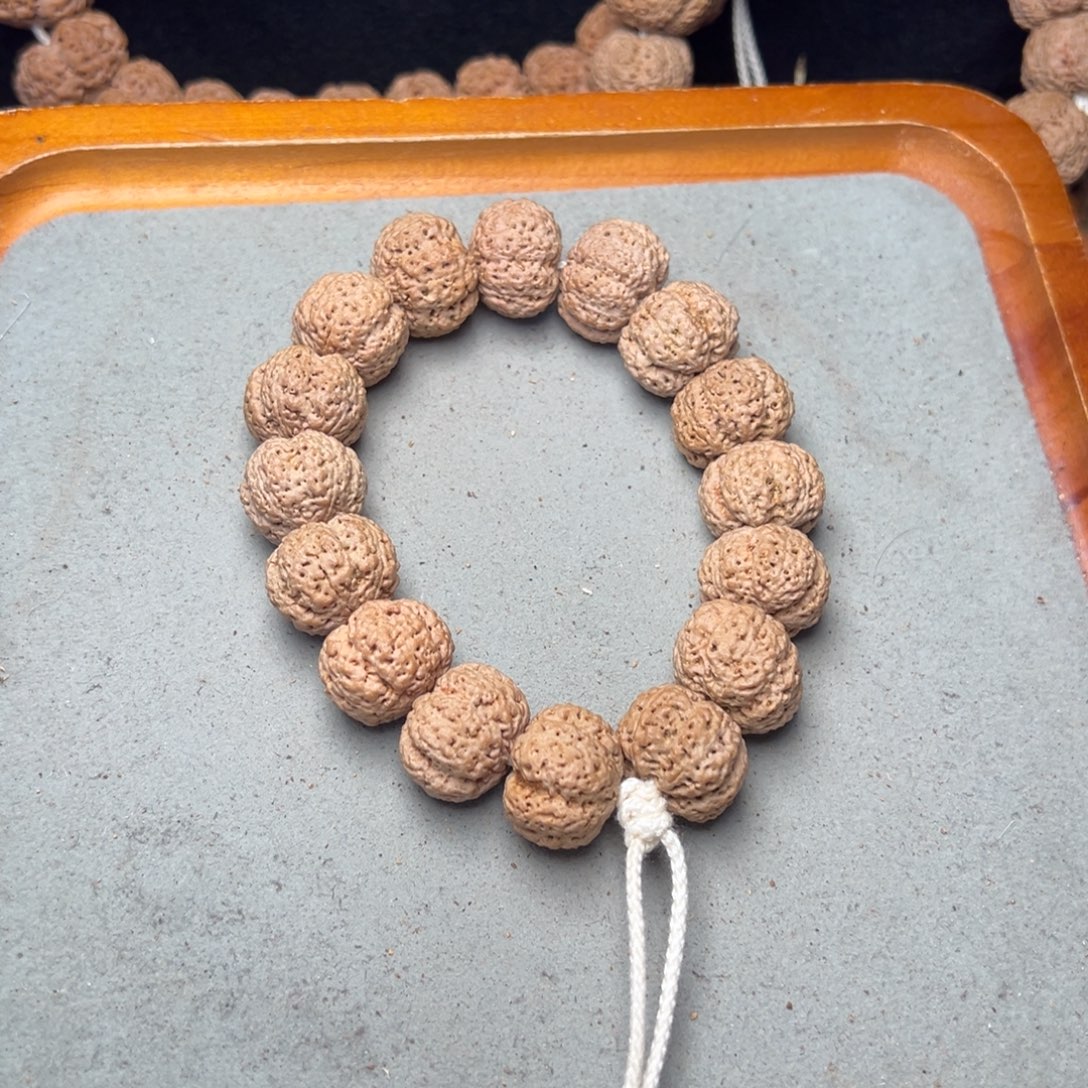 菩提8号金刚菩提熊猫菠萝蜜20