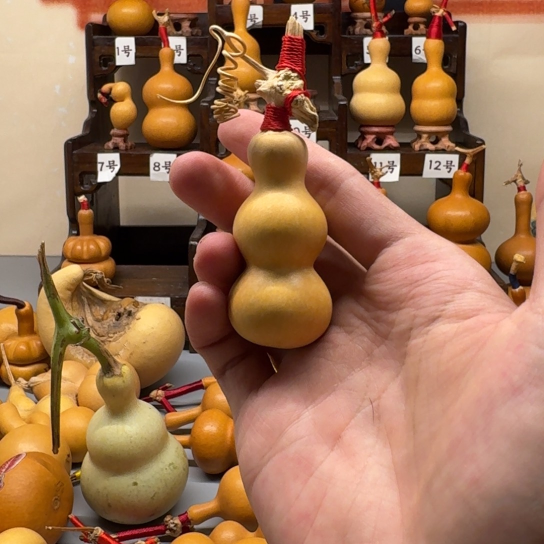 不退不换 八宝葫芦粗嘴