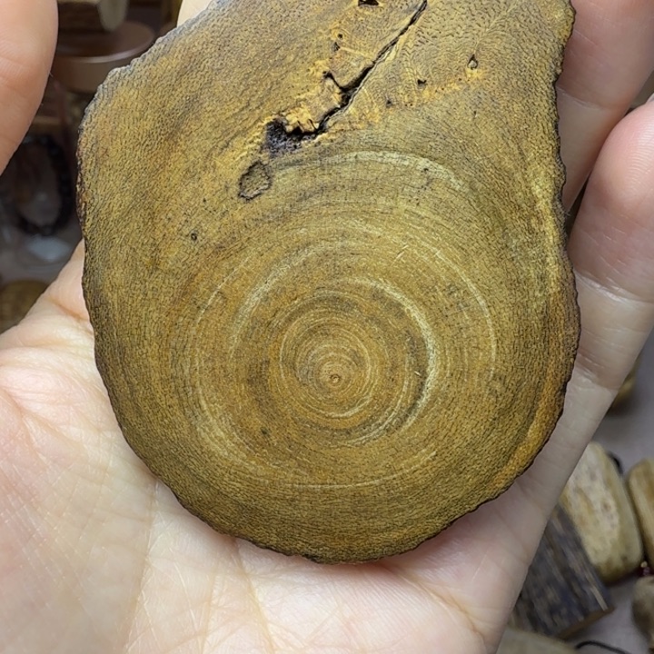 沉香碎屑沉香惠安留疤手把件11.2克