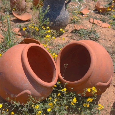 两个口24星星卧盆微瑕